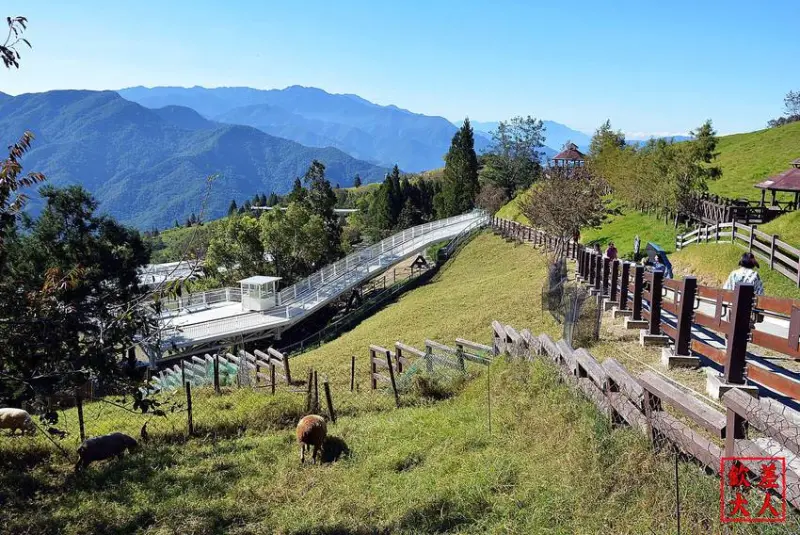 南投清境農場高空景觀步道