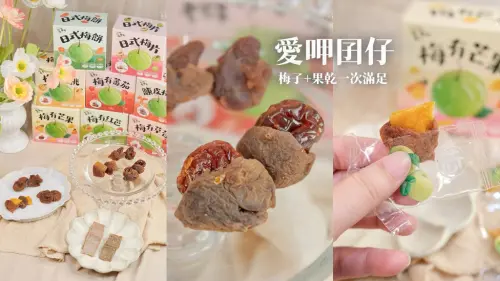 宅配美食｜零食新發現！梅子中藏果乾，酸甜雙重口感一次滿足！梅子控必囤零嘴｜愛呷囡仔