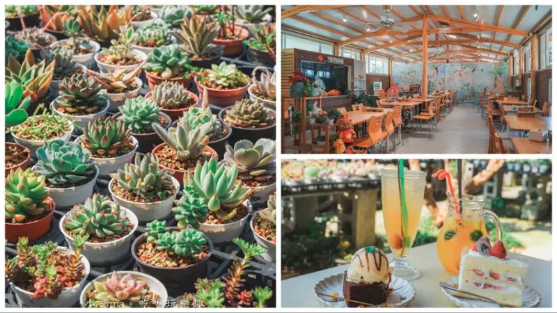 三和青創基地-繞山花｜免門票多肉植物園，DIY多肉盆栽太療癒，晴天、雨天這裡都好好玩～，龍潭美食、桃園親子景點