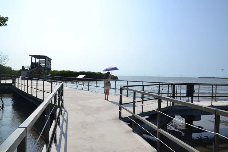 芳苑濕地海空步道