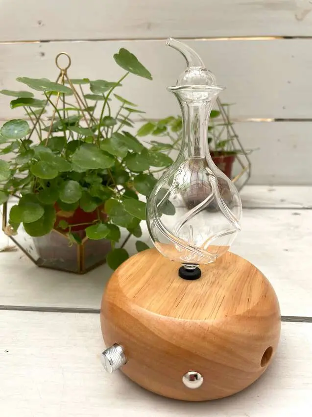 新北市土城區中華路一段178號5樓