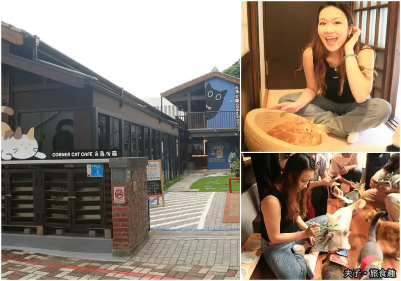 台南 赤崁東街日式宿舍 角落有貓 歷史建築變身寵物餐廳