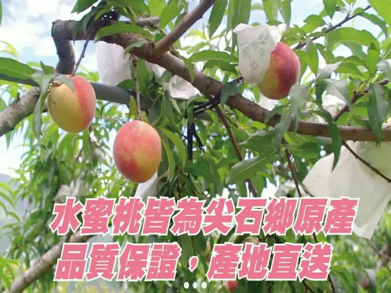 新竹縣尖石鄉農會