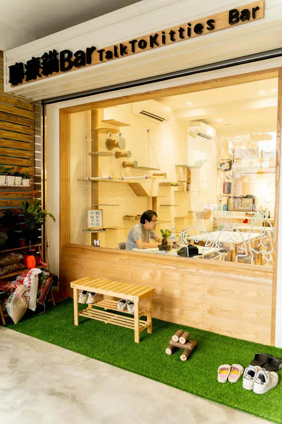 聊療貓Bar共學空間