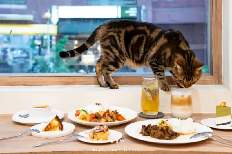 半刻貓·有貓的咖啡館，媲美甜點店的巴斯克蛋糕，與24隻貓咪共度美好時光，高雄貓咪咖啡廳推薦_2025菜單 – 冠婷生活趣