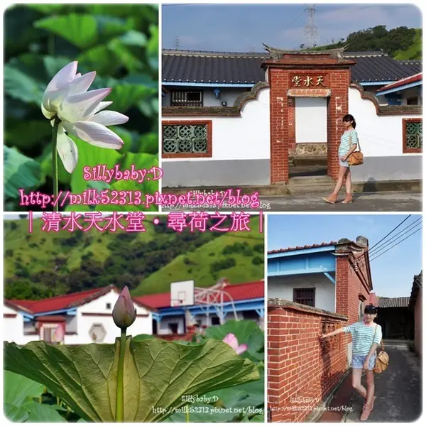 [旅遊日記] 台中清水-天水堂尋荷之旅♥充滿人文復古味的趙家古厝*