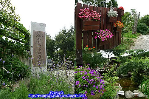 自然禪風的花自在食宿館