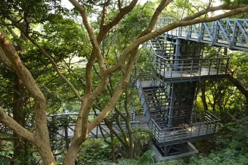 漫步林梢上．擁抱大自然~~五股．林梢步道