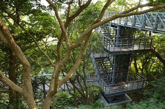 漫步林梢上．擁抱大自然~~五股．林梢步道