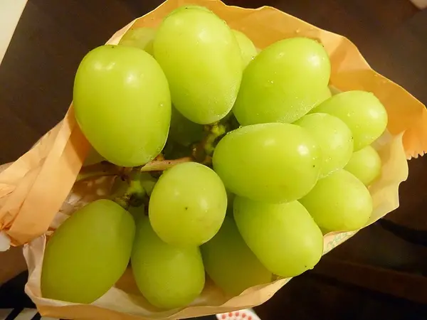 [日本 長野]青葡萄(翠玉葡萄)，葡萄界的頂級貨，味覺大大被推翻