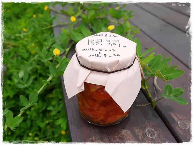 [南投‧集集]  和平快樂田園 --- 不求人~ 梅醋青木瓜自己動手做!!