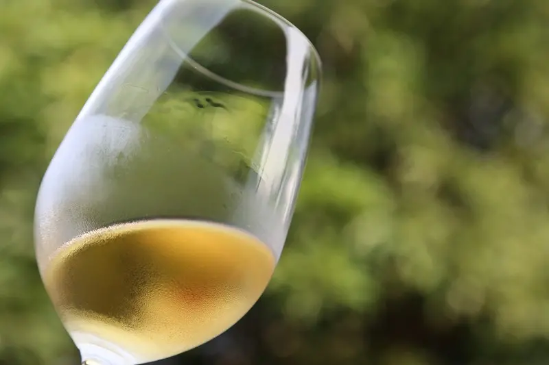 【彰化】二林葡萄酒莊微醺小旅行 (上)