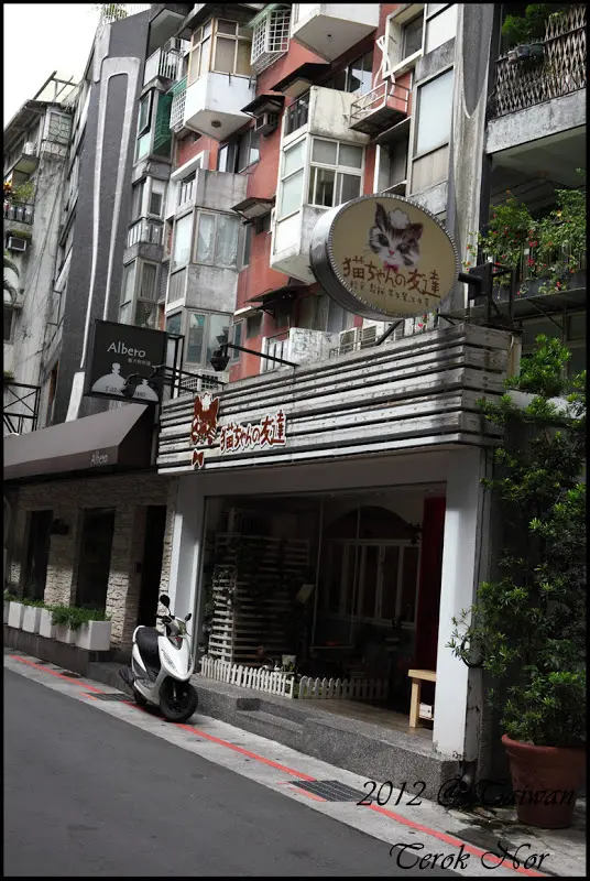 有貓坐檯－貓ちゃんの友達（貓咪先生的朋友）