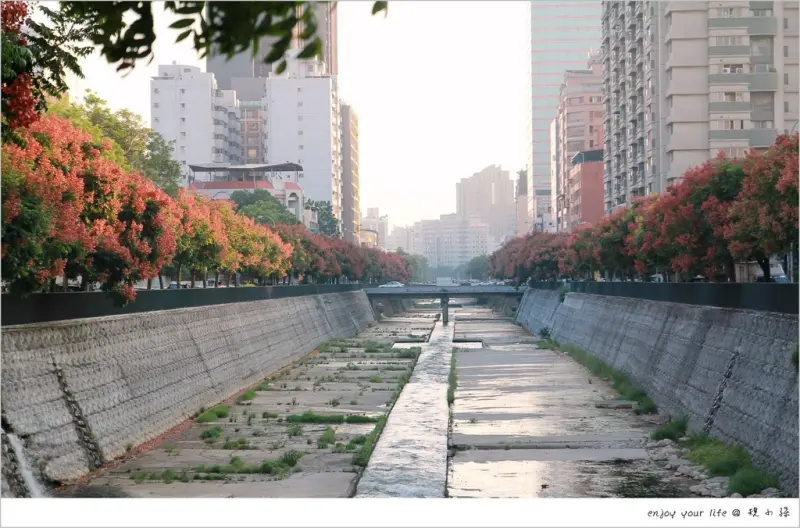 [台中] 台版清溪川！當秋天涼風吹拂著紅了頭的台灣欒樹，這條路讓每個欣賞生活細節的人 停了腳步。