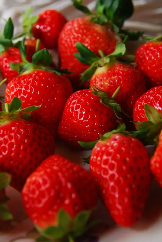 ◈苗栗◈ⓜ再訪山頂果園農場ⓜ