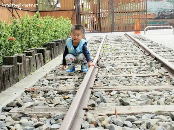 [嘉義]鐵道迷走到腳酸也要必訪景點，東洋第一嘉義製材所/嘉義親子景點
