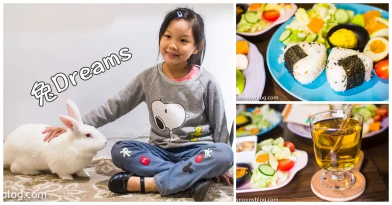 【台北美食】大安區六張犁早午餐推薦｜兔子主題咖啡館｜兔Dreams～可愛萌兔店長陪你用餐，友善寵物餐廳、友善親子餐廳