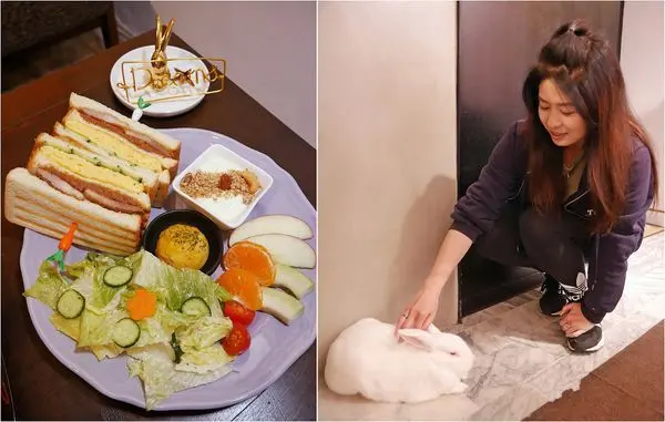 大安區六張犁早午餐推薦【兔Dreams】寵物友善餐廳 不但好吃還有兔店長陪伴悠閒的午后