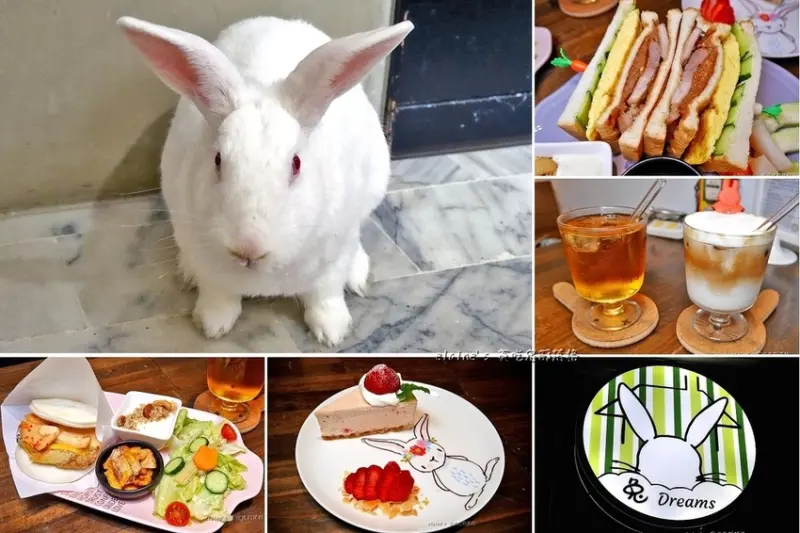 吃。台北大安《兔Dreams》吃著美味早午餐還有可愛兔店長圍繞喔。大安區六張犁早午餐推薦