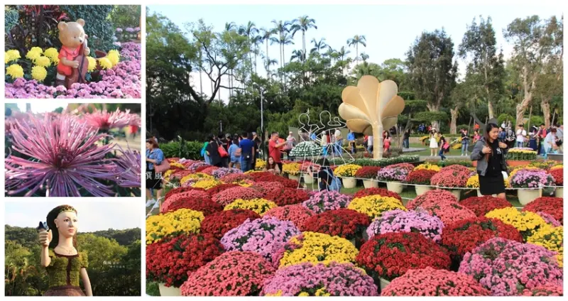 【士林】2019士林官邸菊展，融入古典與流行歌曲的造景花藝展，周杰倫、五月天、蘇打綠歌曲都來了｜撰風 - 翻閱，城市的溫度