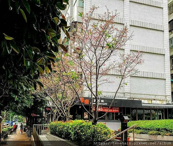 [松山美食]饗瘦鐵板燒/服務超好主動又積極/活龍蝦果然超彈又飽滿好吃得不得了/商業龍蝦特餐只要888，CP值也太高了吧/