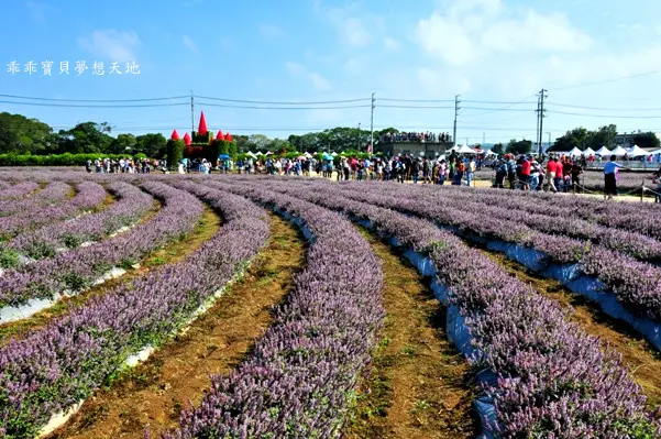 2019仙草花節 - 花漾楊梅仙境遊
