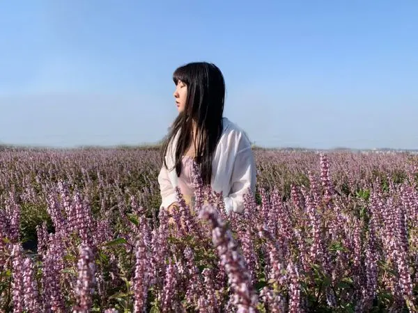 【桃園 楊梅】2019仙草花節浪漫登場 期間限定「台版普羅旺斯」