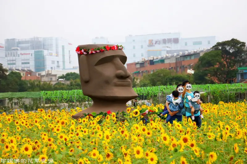 【桃園-平鎮區】2019桃園花彩節「花現平鎮 幸福農來」11/23-12/1