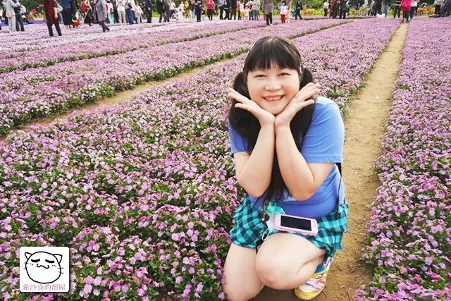 台北賞花．絕美紫爆的浪漫景點遊──古亭河濱公園／紫色花海