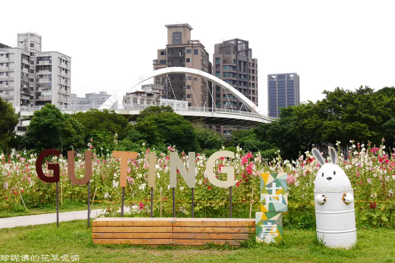 【台北-中正區】2020古亭河濱公園蜀葵之森