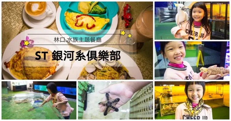 【新北市美食】林口水族主題餐廳｜ST 銀河系俱樂部｜水族寵物、下午茶～鯊魚、鸚鵡、爬蟲動物互動體驗，超另類親子餐廳