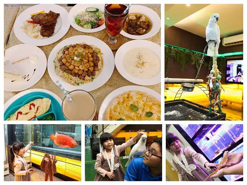 新北林口S.T銀河系水族主題餐廳｜鸚鵡爬蟲類鯊魚互動體驗｜大推炒飯料多實在