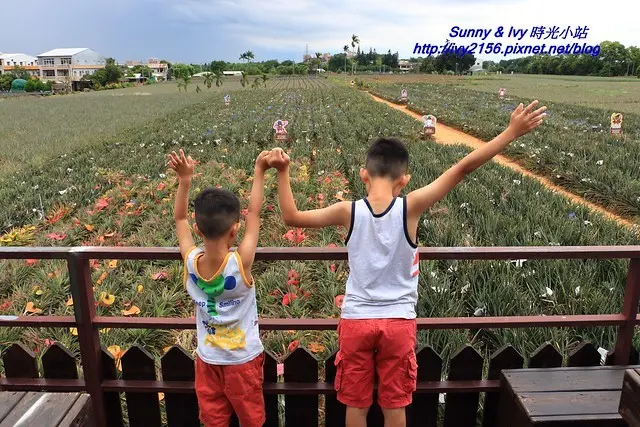 【免費好康報報】嘉義民雄觀光工廠 - 旺萊山鳳梨文化園區。一起到鳳梨田尋寶趣，可玩可吃窮遊好去處