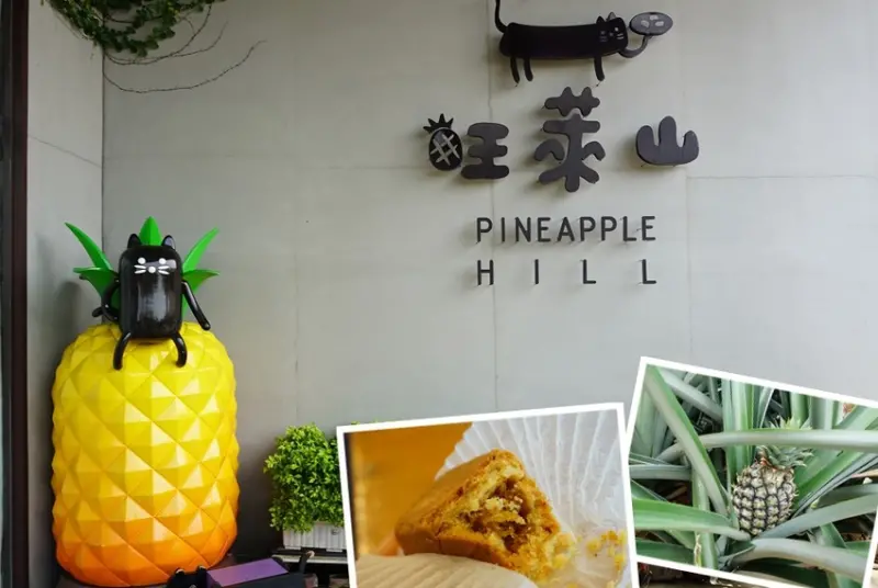 【嘉義民雄景點】旺萊山鳳梨文化園區‧免門票入館‧免費吃一塊鳳梨酥‧可愛鳳梨桿祈福亭‧可見整片鳳梨田！