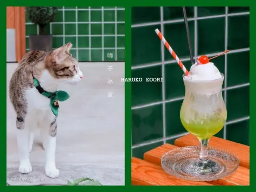 【板橋冰品】晴子冰室：老派浪漫，回憶那些年屬於我們的熱血青春  /IG熱門打卡