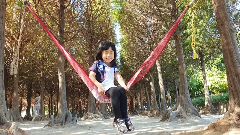台中景點║中科落雨松，季節限定景色，輕鬆拍出置身國外的落羽松秘境美景！
