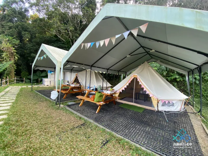 新竹│樸真園懶人豪華露營  整區都是我們的遊樂場