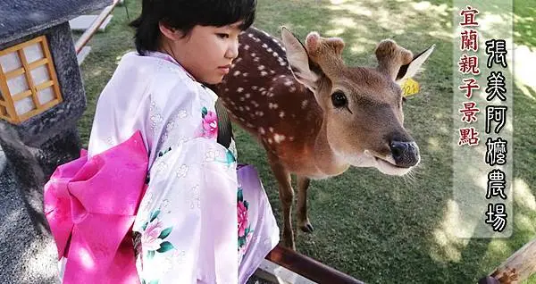 【宜蘭縣三星鄉景點】張美阿嬤農場 梅花鹿餵食 和服租借 DIY體驗 北部親子一日遊推薦