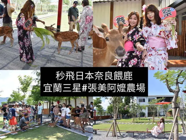 秒飛日本奈良餵鹿。療癒系的休閒活動。宜蘭三星景點。#張美阿嬤農場。體驗日本和服，餵溫馴可愛的梅花鹿