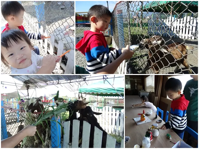 【宜蘭員山】宜蘭親子景點 可達羊場  休閒羊牧場 餵小動物/彩繪DIY 溜小孩的好去處