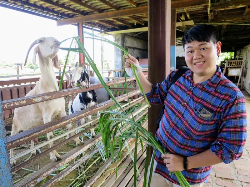 【宜蘭員山景點】可達休閒羊場，免門票小型農場，餵羊咩咩喝奶/吃牧草/餵兔子吃紅蘿蔔，附免費停車場!