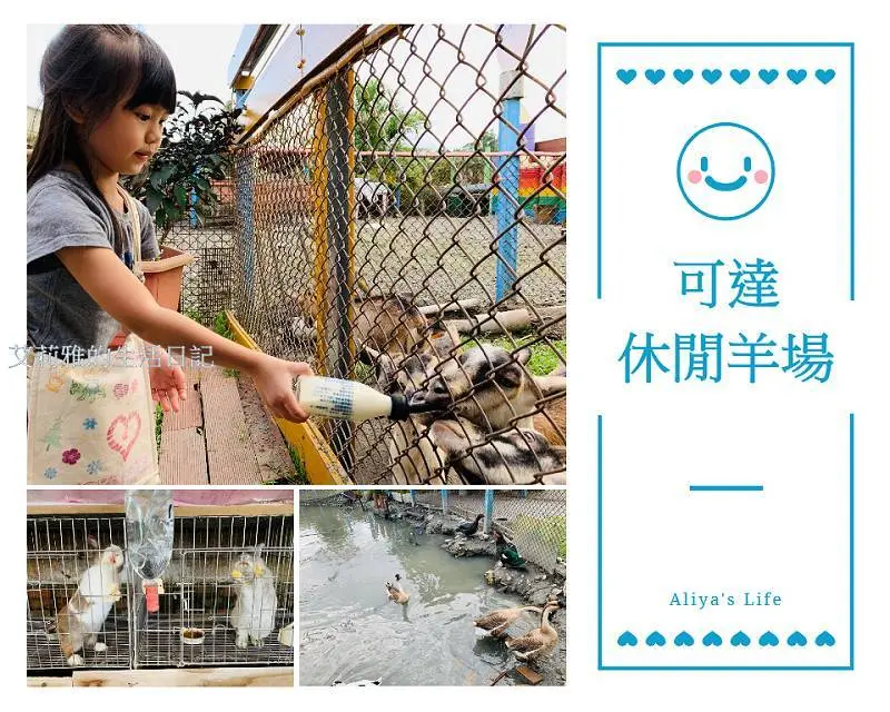 宜蘭員山可達休閒羊場｜免入場門票親子旅遊去處｜銅板價可餵小羊喝奶