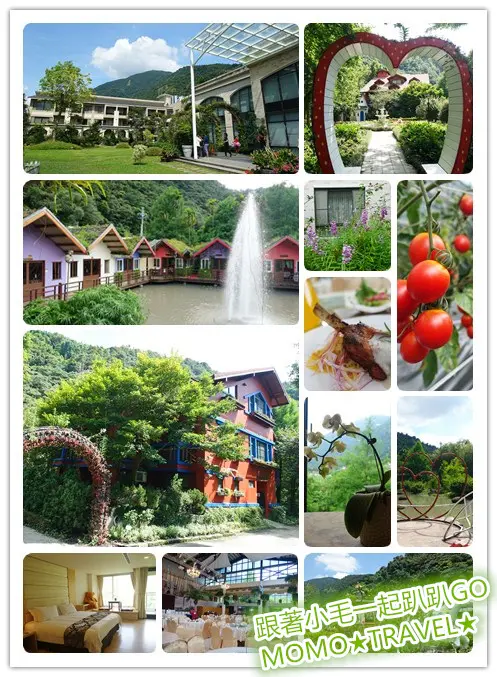 南投住宿-楓樺台一渡假村 花園丨採果丨手工藝丨美人湯丨親子活動