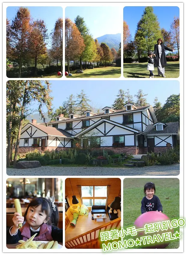 南投住宿-悠森境渡假村 落羽松森林小木屋丨5分鐘步行距離抵達九族文化村