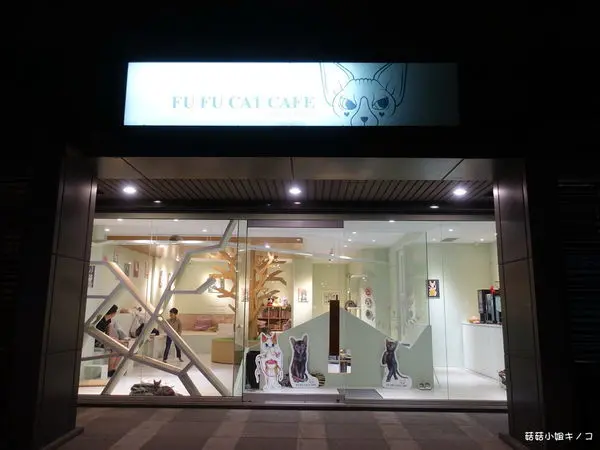 內湖區-貓奴必去!!!一屋子貓咪陪你度過歡樂時光~FUFUCatCafe~