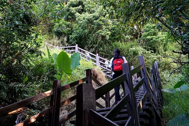 台中景點│大坑九號登山步道，大坑9-1號步道路線攻略，寧靜海觀音亭