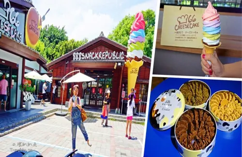 彰化伴手禮推薦︱66 cheesecake 免飛北海道超夯排隊甜點帶著走！