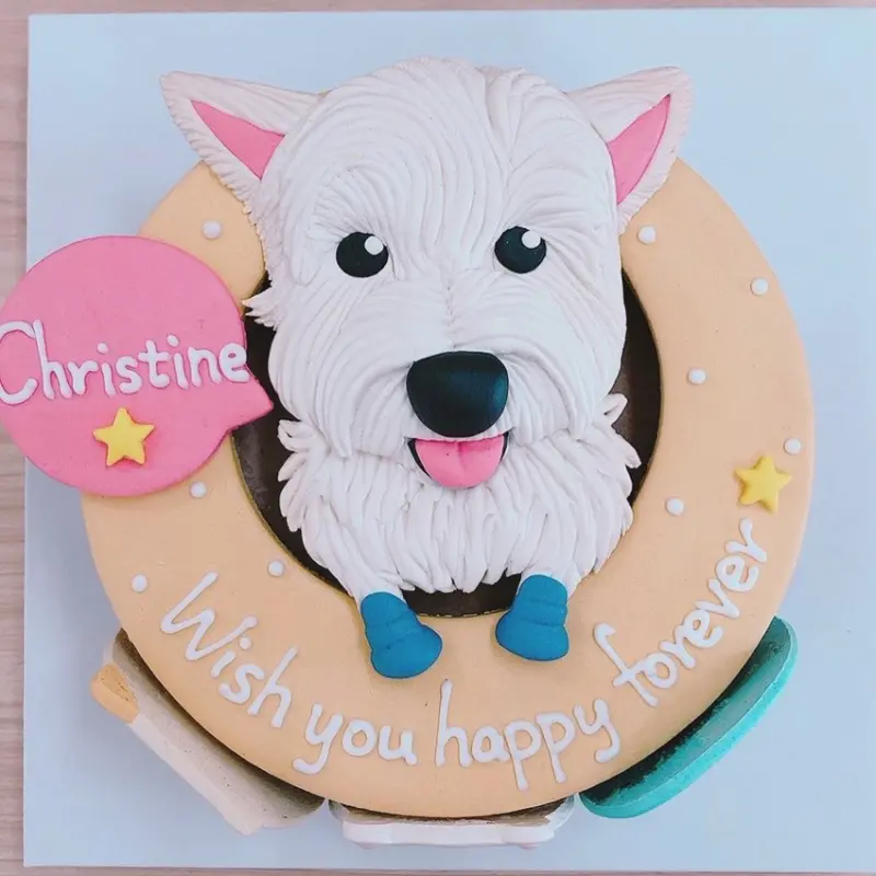 狗狗寵物生日造型蛋糕推薦,第一次幫毛小孩慶生懶人包總整理