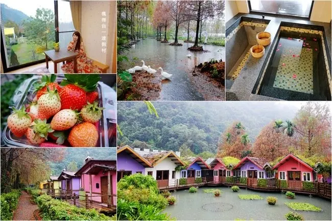 南投埔里住宿/南投旅遊景點 ▶ 楓樺台一渡假村│台一生態休閒農場 ▶ 童話水上小木屋、採白草莓、賞落羽松、泡溫泉、親子DIY一次滿足! 楓樺台一渡假村門票、住宿、採草莓價格資訊!