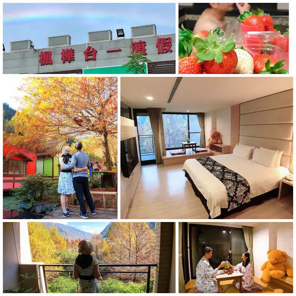楓樺台一渡假村(台一生態休閒農場)│被落羽松包圍的城堡渡假村│南投埔里度假的夢幻首選│南芳花園餐廳│冬季超夯採草莓開始囉